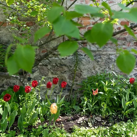 By Johanna Gullichsen 公寓