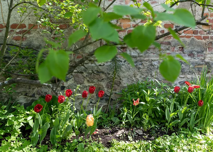 By Johanna Gullichsen Apartment *